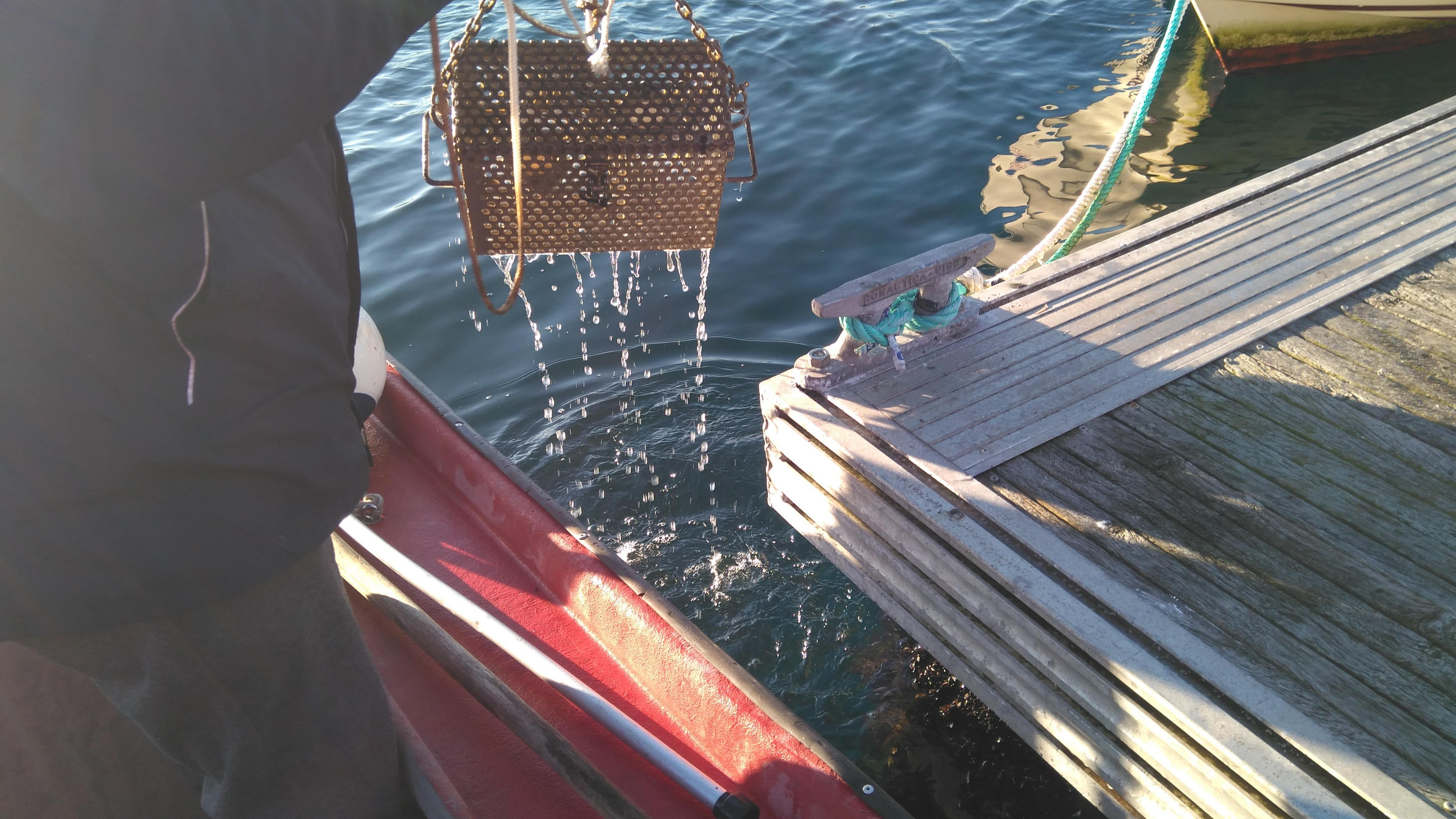 La Red NOR-WATER presenta un innovador protocolo para la detección de contaminantes emergentes en aguas costeras