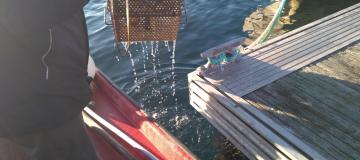 La Red NOR-WATER presenta un innovador protocolo para la detección de contaminantes emergentes en aguas costeras