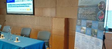 Jornada Bluewwater